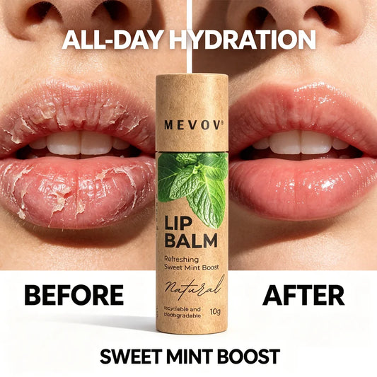 Private Label Natural Lip Balms & Moisturizers Hydrates with Beeswax Vitamin E Coconut Oil Lip Balm in Recyclable Cardboard Tube