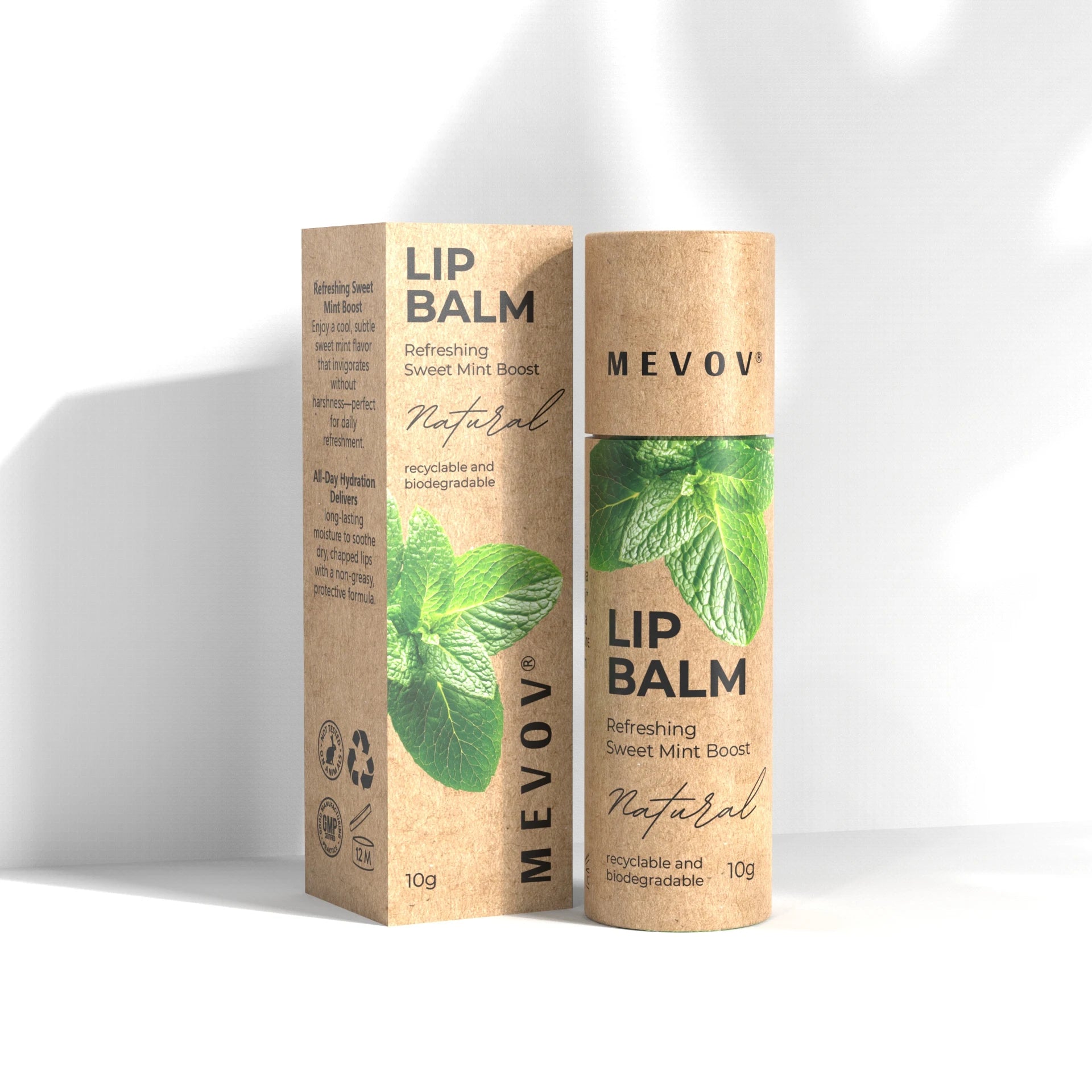 Private Label Natural Lip Balms & Moisturizers Hydrates with Beeswax Vitamin E Coconut Oil Lip Balm in Recyclable Cardboard Tube